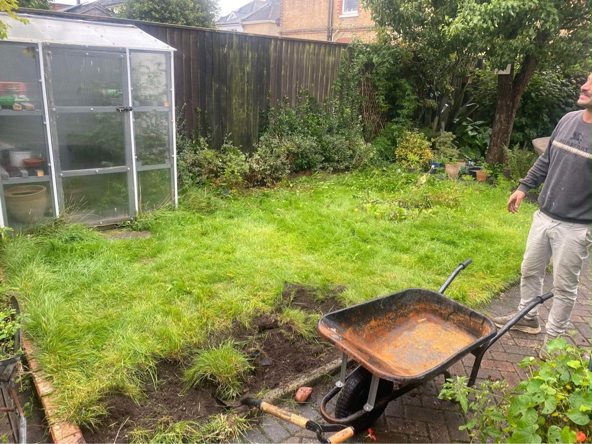 Overgrown garden before clearance and landscaping